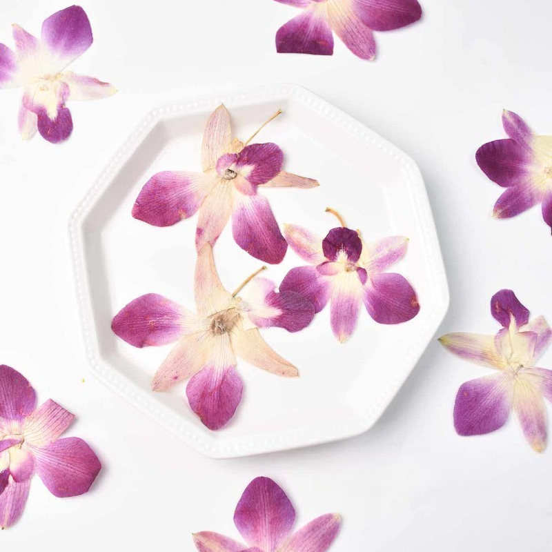 4 adet, Gerçek Preslenmiş Kele - Art Craft Butterfly incelemesi ve fiyatı