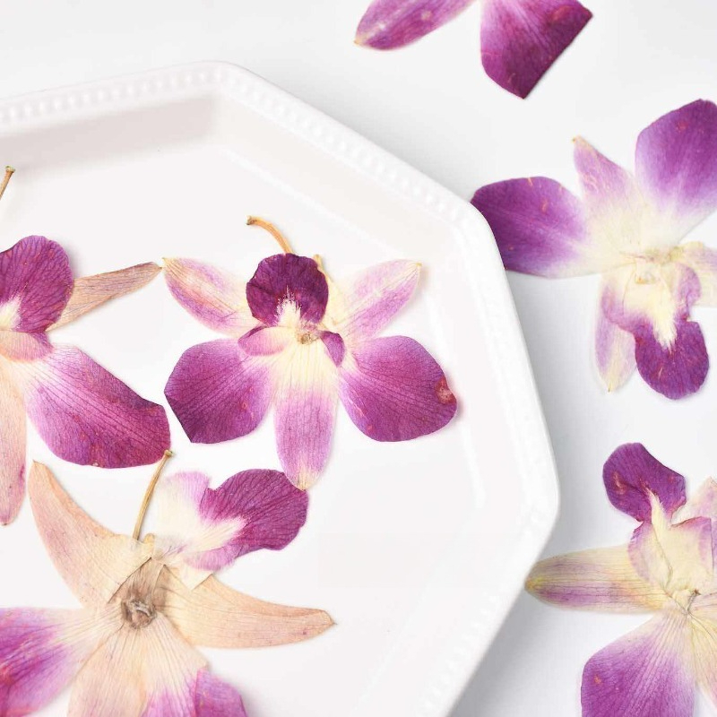 4 adet, Gerçek Preslenmiş Kele - Art Craft Butterfly incelemesi ve fiyatı