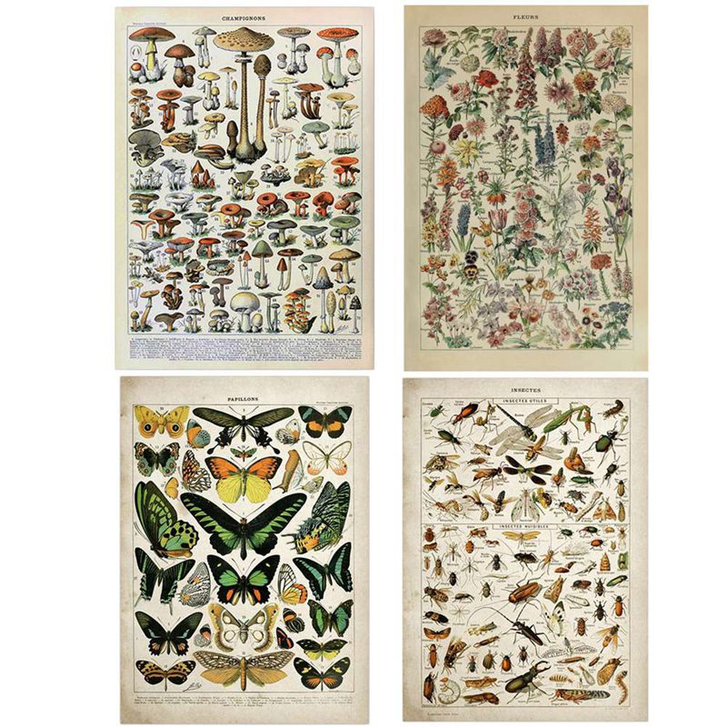 Vintage Adolphe Millot Ansiklo - Art Craft Butterfly incelemesi ve fiyatı
